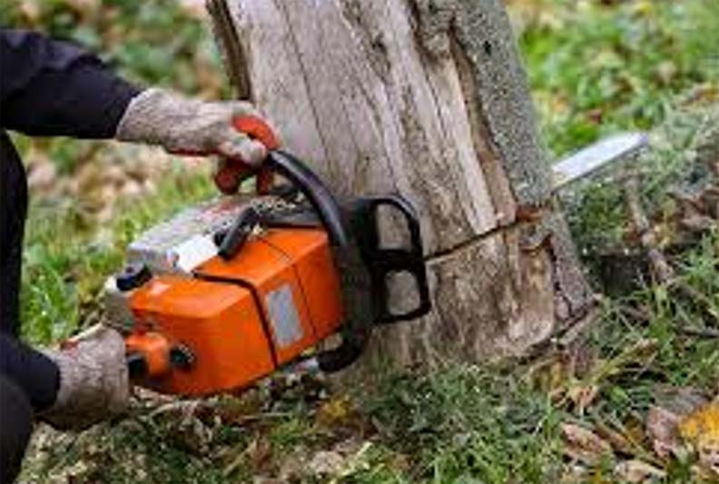 <Home Services For You Professional Contractor using a chainsaw to cut into the trunk of a tree. Common uses include felling trees, trimming branches, cutting firewood, and clearing storm debris. Storm damage cleanup is the process of removing debris, assessing structural damage, and making repairs after a severe weather event. This includes removing fallen trees, clearing water, drying out flooded areas, and addressing hazards such as power lines or unstable structures. The primary goals are to restore safety and order to the property and prevent secondary problems like mold growth.>